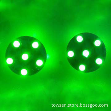 Outdoor Amusement Park Color Changing LED Lights Programmable